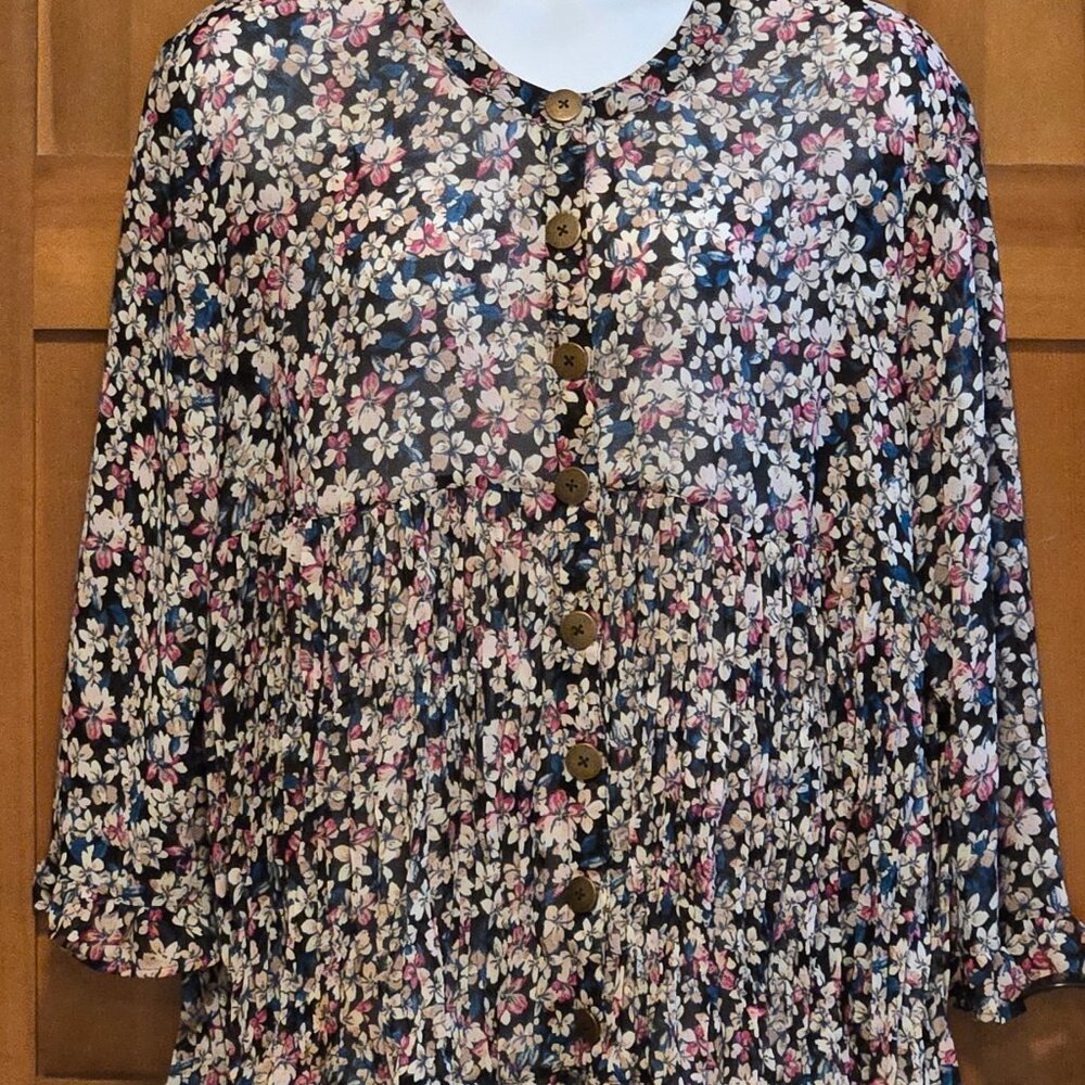 Terra & Sky Women's Plus Size Long Sleeve Chiffon Blouse 1X